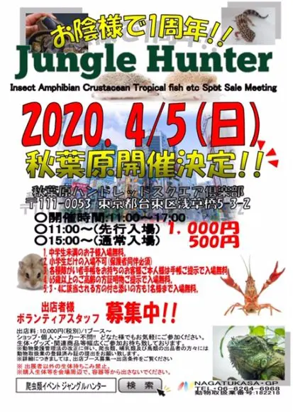 爬虫類イベント ワークショップ 小動物イベント